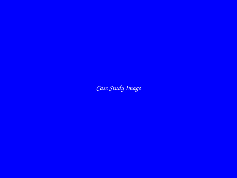 Carpet Cleaning case study in Chicago